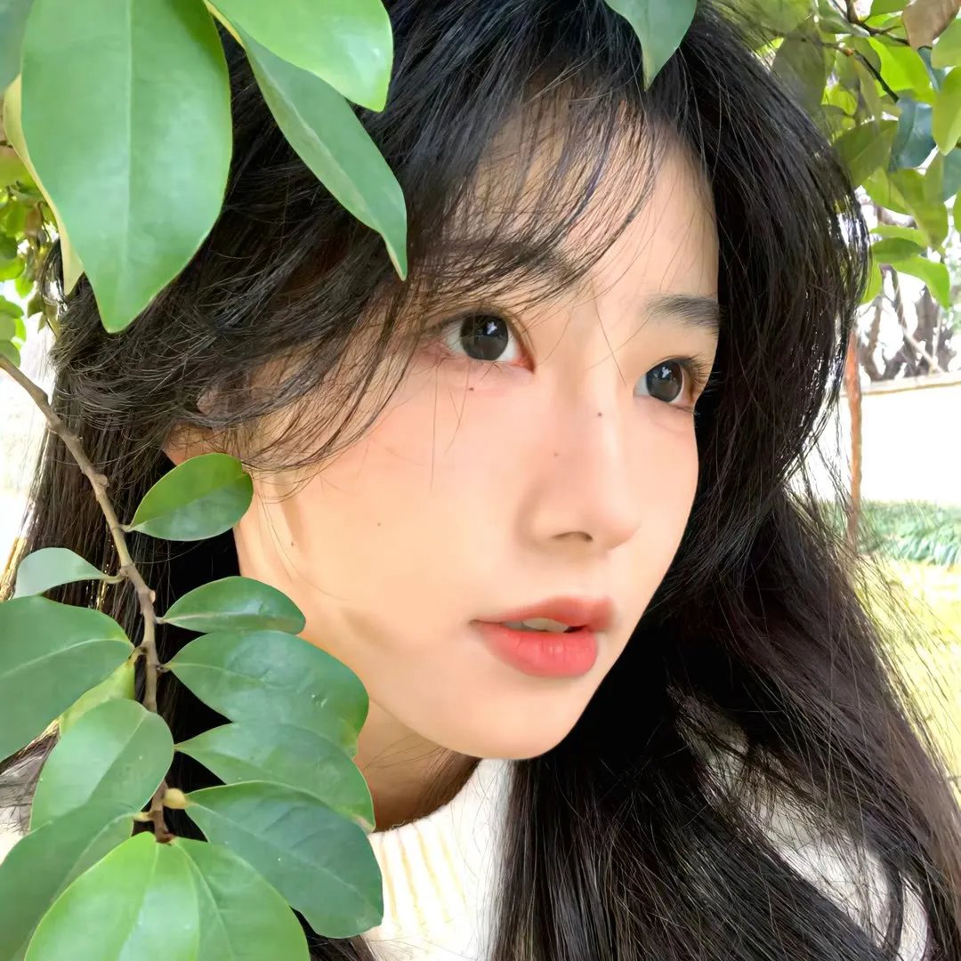 晚上好，我们是朝山家。